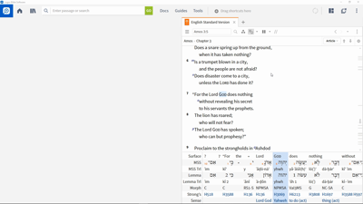 Interpreting the Use of Perfect and Imperfect Conjugations