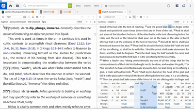 Theological Lexicons