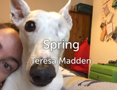 Teresa Madden - Spring - Sunday, 23 February 2020