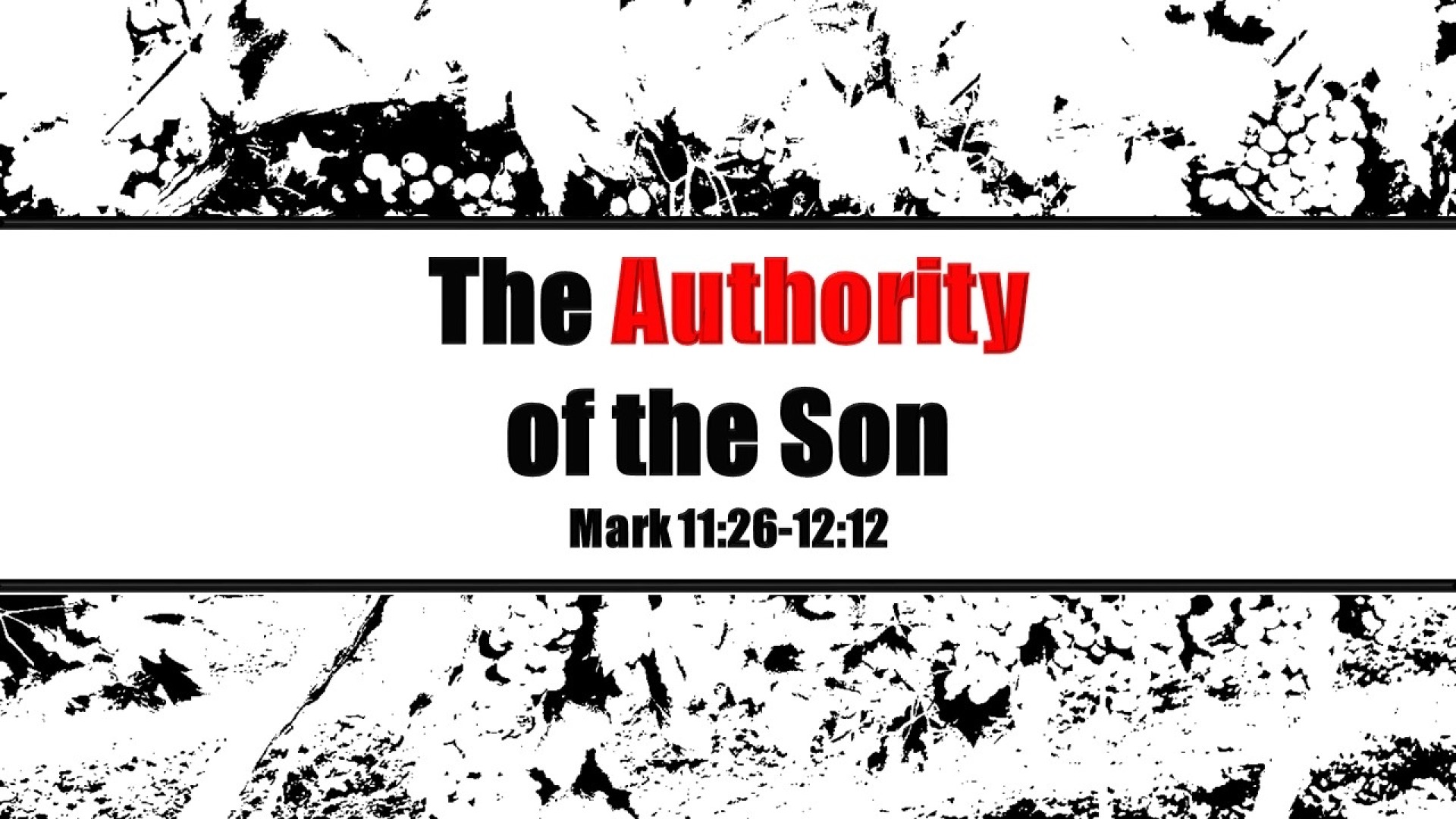 02-23-20-the-authority-of-the-son-mark-11-26-12-12-faithlife-sermons