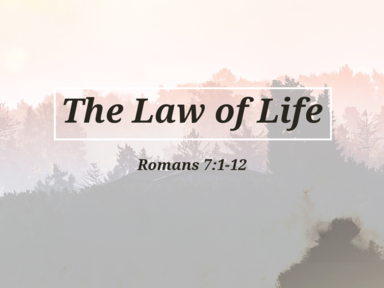 The Law of Life 