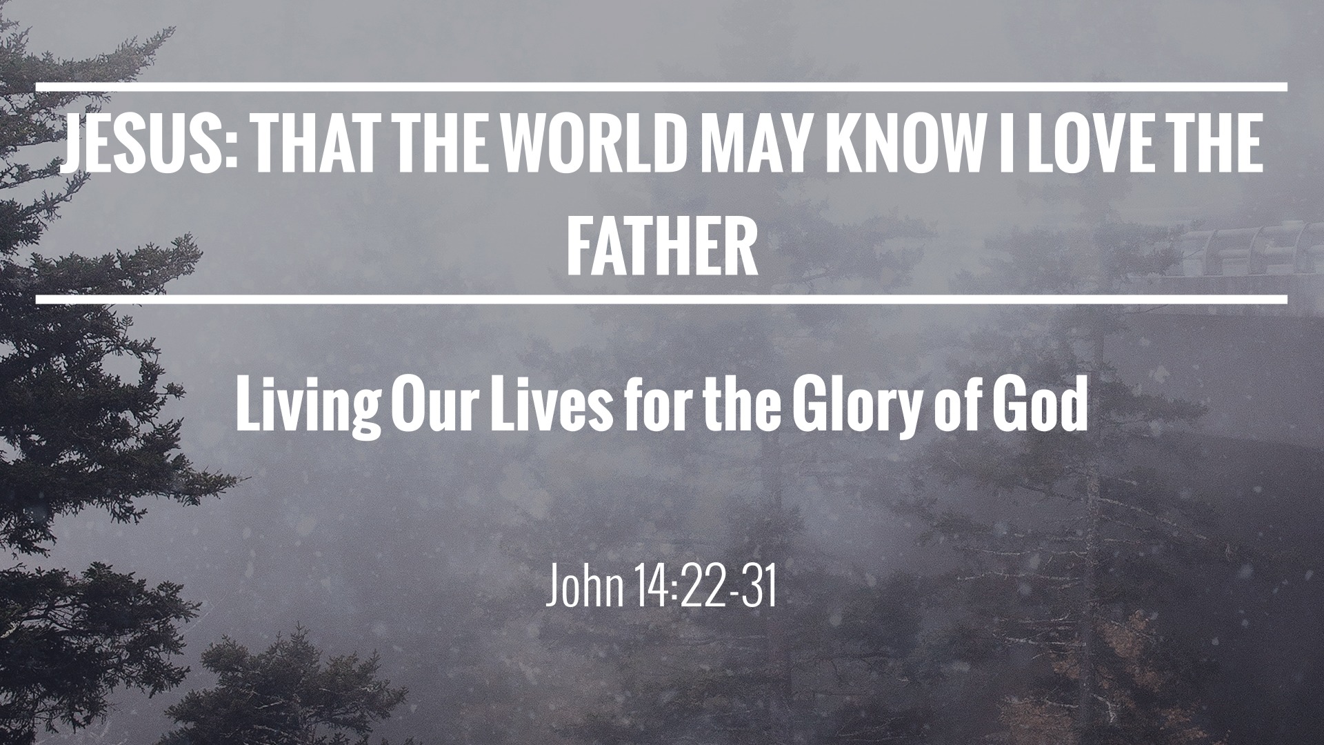 Jesus: That the World may know I love the Father - Logos Sermons