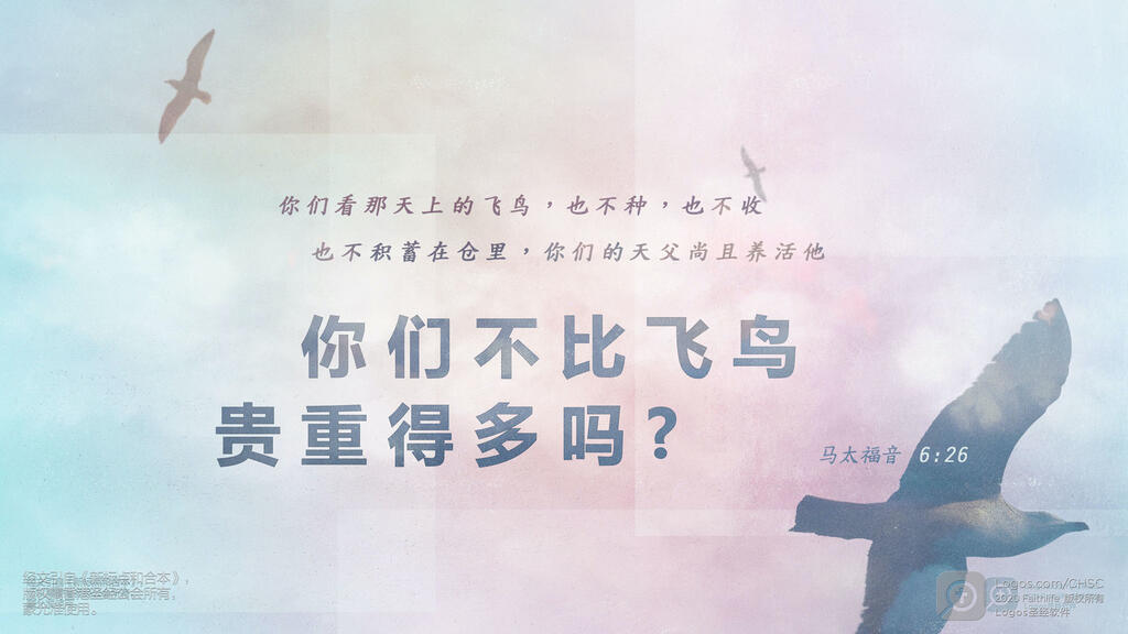 马太福音 6：28–29: 何必为衣裳忧虑呢？你想野地里的百合花怎么长起来；它也不劳苦，也不纺线。然而我告诉你们，就是所罗门极荣华的时候，他所穿戴的，还不如这花一朵呢！