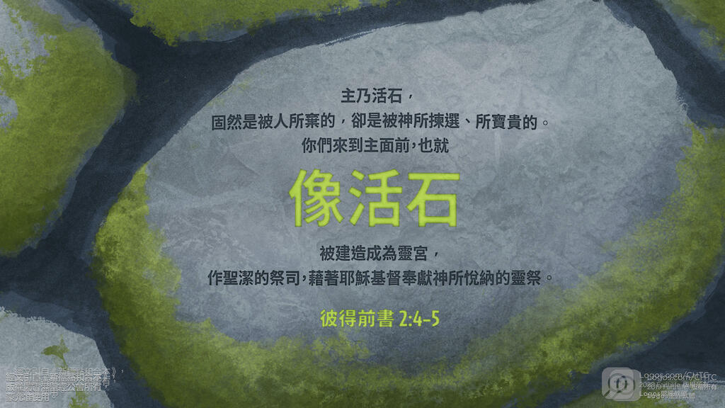 彼得前書 2：4–5: 主乃活石，固然是被人所棄的，卻是被神所揀選、所寶貴的。你們來到主面前，也就像活石，被建造成為靈宮，作聖潔的祭司，藉著耶穌基督奉獻神所悅納的靈祭。