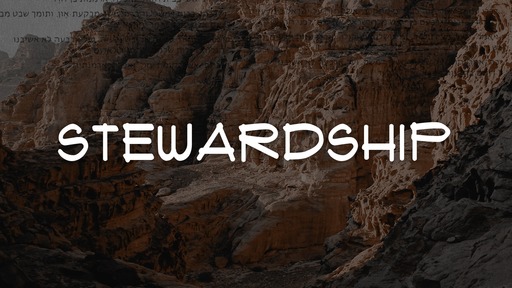 Stewardship - Testimony