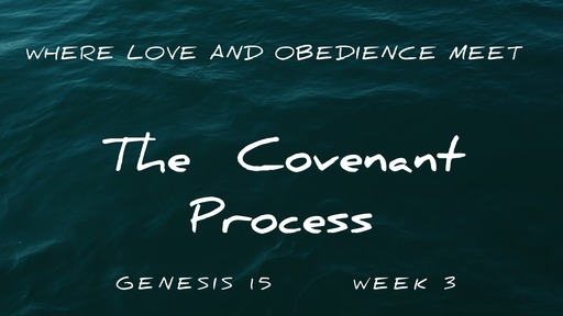 The Covenant Process Week 3