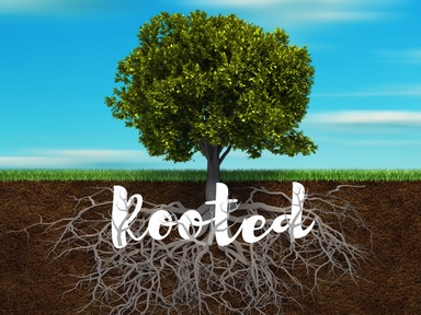 Rooted In And Built Up Part 6-Communicating With God