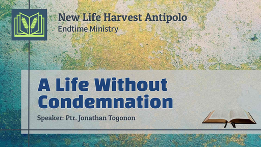 A Life Without Condemnation