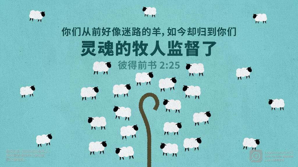 彼得前书 2：25: 你们从前好像迷路的羊，如今却归到你们灵魂的牧人监督了。