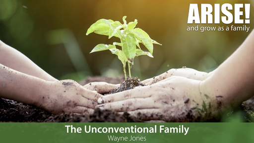 The Unconventional Family