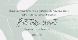 John 16:33  image 3