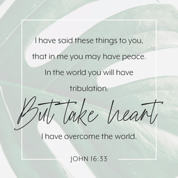 John 16:33  image 1