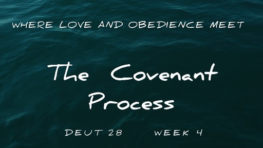 The Covenant Process Week 4
