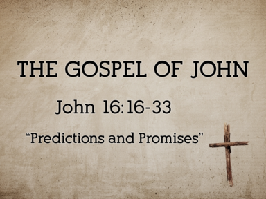 Predictions and Promises (John 16:16-33)