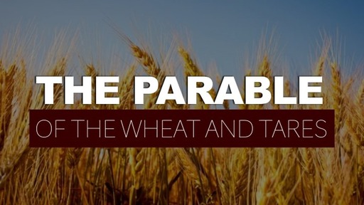 The Parables: The Wheat and the Tare