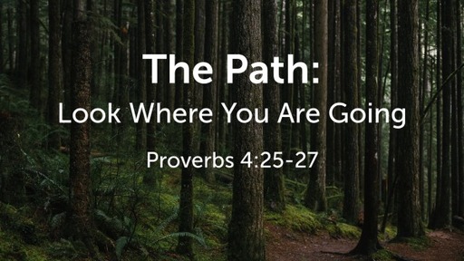 The Path: Look Where You Are Going
