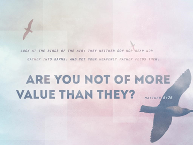 Darkness & Light; Blindness & Sight Part 1