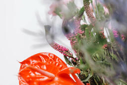 Red and Purple Floral Arrangement  image 8