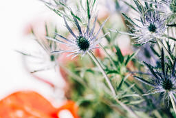 Red and Purple Floral Arrangement  image 5