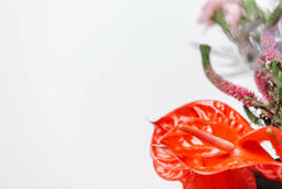 Red and Purple Floral Arrangement  image 6