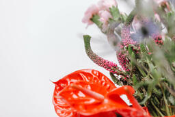 Red and Purple Floral Arrangement  image 2