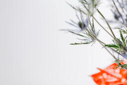 Red and Purple Floral Arrangement  image 3