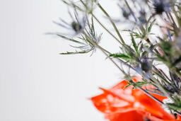 Red and Purple Floral Arrangement  image 1