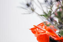 Red and Purple Floral Arrangement  image 4