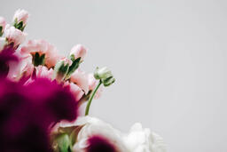 Pink and White Floral Arrangement  image 1