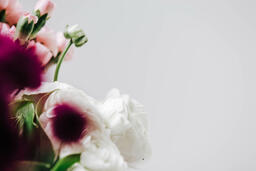 Pink and White Floral Arrangement  image 3