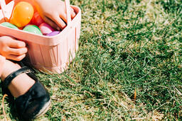 Child Looking Through Their Easter Eggs  image 2