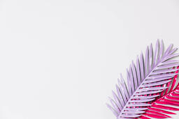 Hot Pink and Purple Palm Leaves  image 1