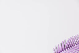 Purple Palm Leaf  image 2