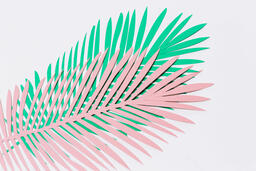 Green and Pink Paper Palm Leaves  image 2