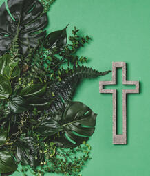Green Foliage with a Concrete Cross Outline  image 1
