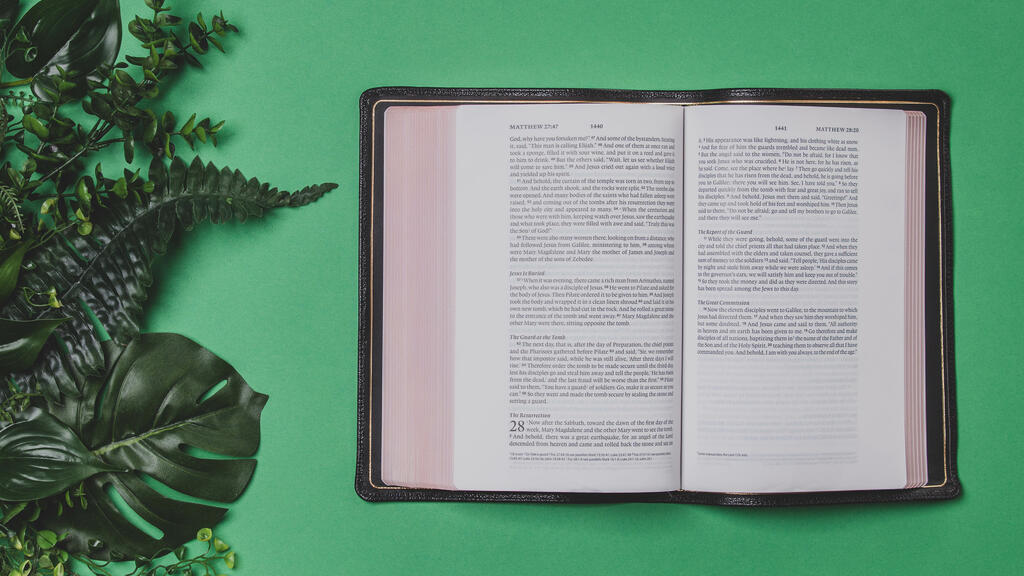 Green Foliage with an Open Bible large preview