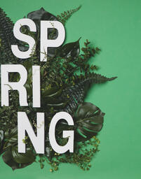 SPRING Letters in Greenery  image 1