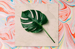 Monstera Leaf on Pastel Marbled Background  image 3