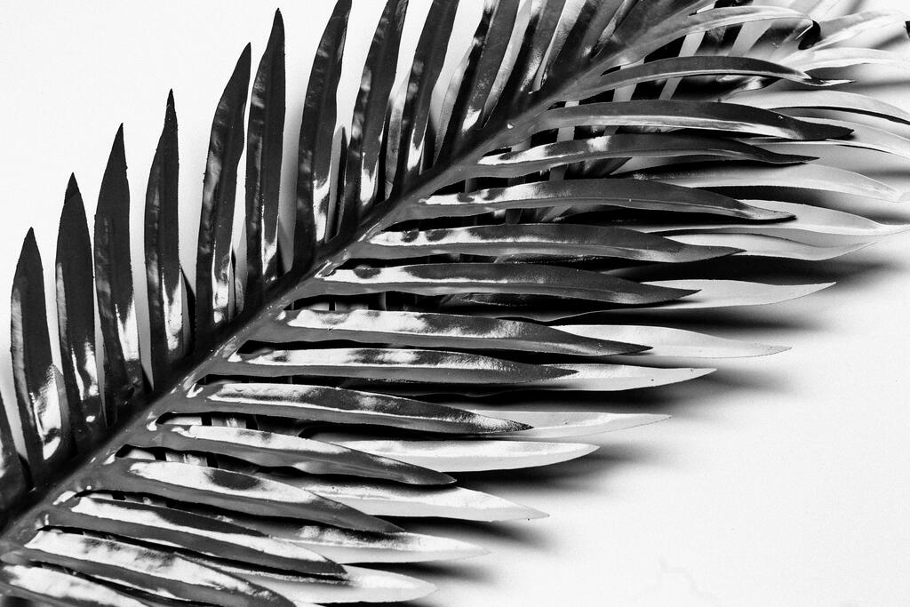 Palm Leaves large preview