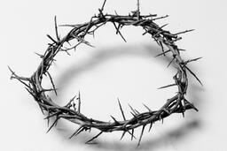 The Crown of Thorns  image 1