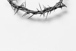 The Crown of Thorns  image 2