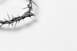 The Crown of Thorns  image 3