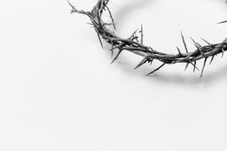 The Crown of Thorns  image 4