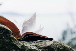Open Bible on a Rock in Nature  image 4