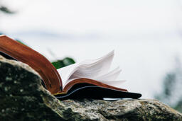 Open Bible on a Rock in Nature  image 7