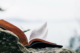 Open Bible on a Rock in Nature  image 6