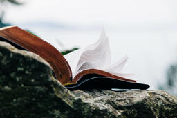 Open Bible on a Rock in Nature  image 3