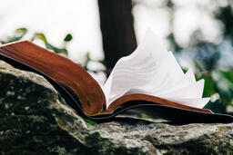 Open Bible on a Rock in Nature  image 2