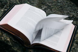 Open Bible on a Rock in Nature  image 2