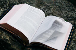 Open Bible on a Rock in Nature  image 5
